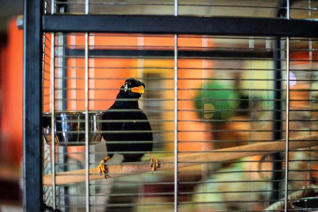 Hotel U Grubego Wielogóra Kültér fotó
